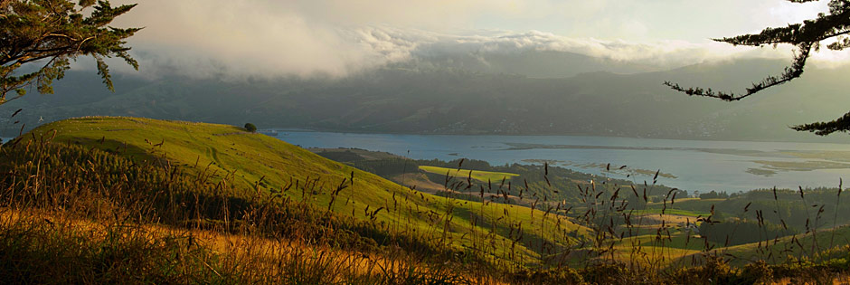Vliegtickets Dunedin