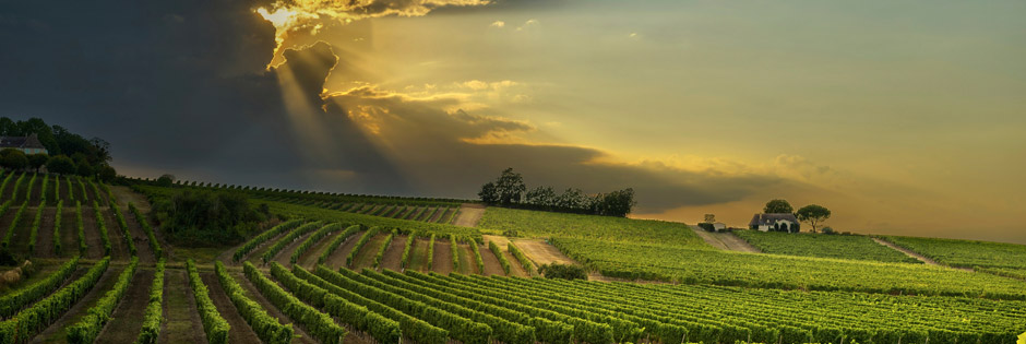 Vliegtickets Bergerac